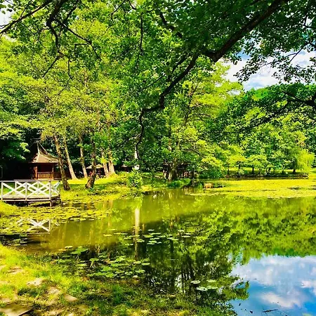 Hotel кайзервальд *