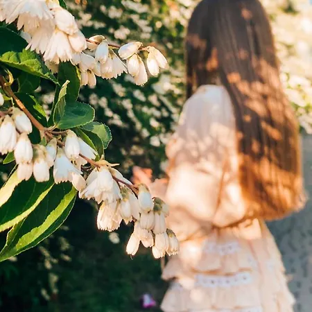 Hotel кайзервальд *