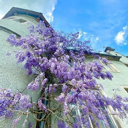 кайзервальд Karpaty