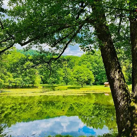 кайзервальд Hotel *