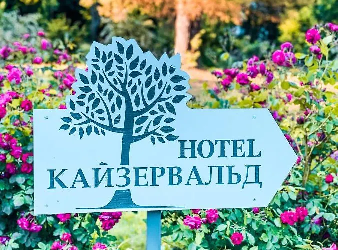 кайзервальд 喀尔巴阡